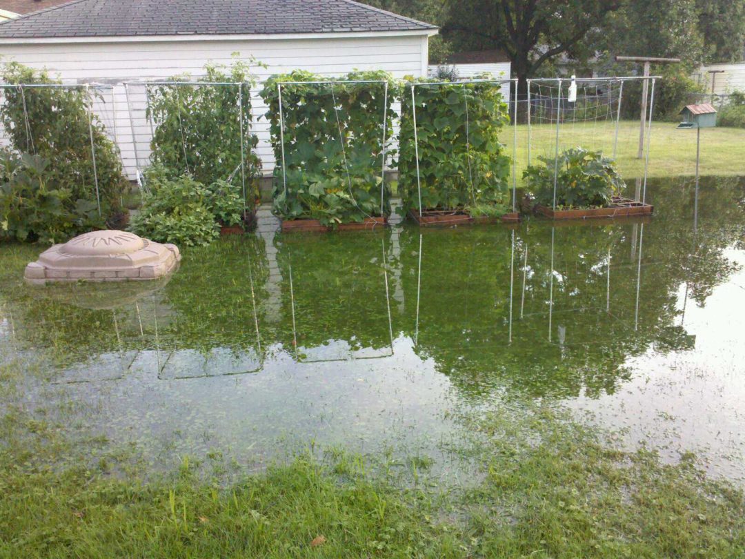 Вода на участке Вода на участке